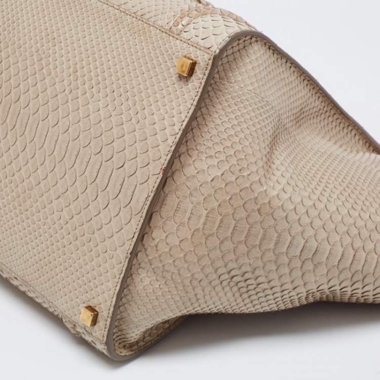 Pre Owned Celine Grey Python Mini Luggage Tote