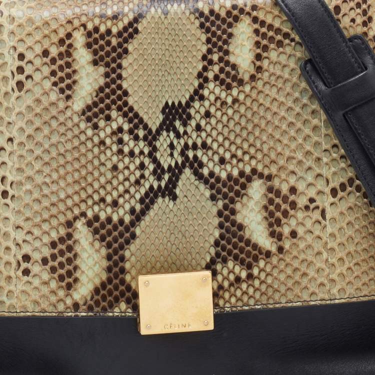 مملوكة مسبقًا Celine Tri Color Leather and Python Mini Trapeze Top Handle Bag