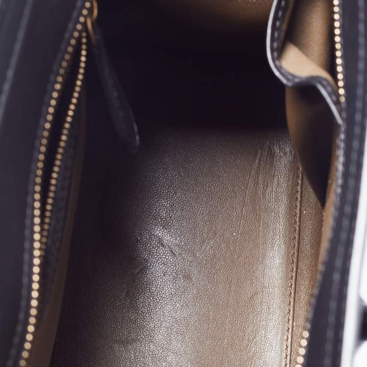 Pre Owned Celine Multicolor Nubuck and Leather Micro Luggage Tote