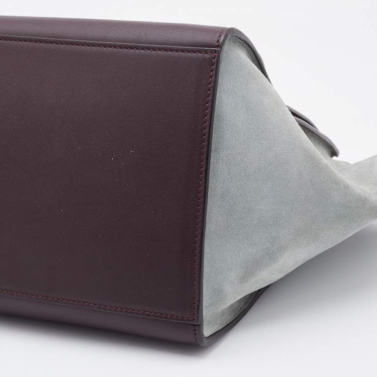 Pre Owned Celine Multicolor Leather and Suede Medium Trapeze Top Handle Bag