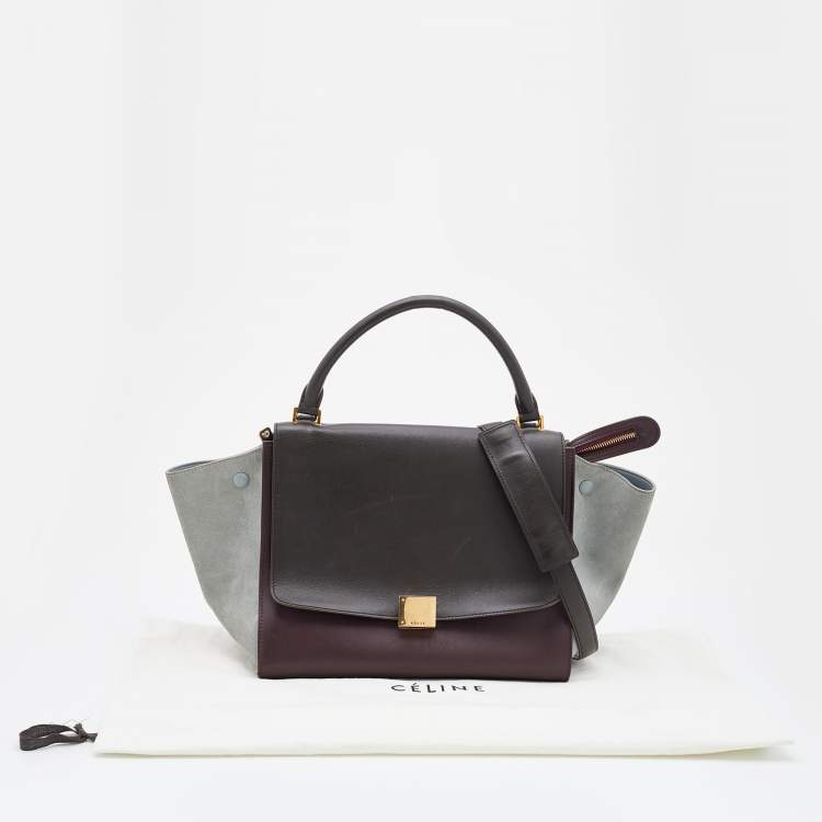 Pre Owned Celine Multicolor Leather and Suede Medium Trapeze Top Handle Bag