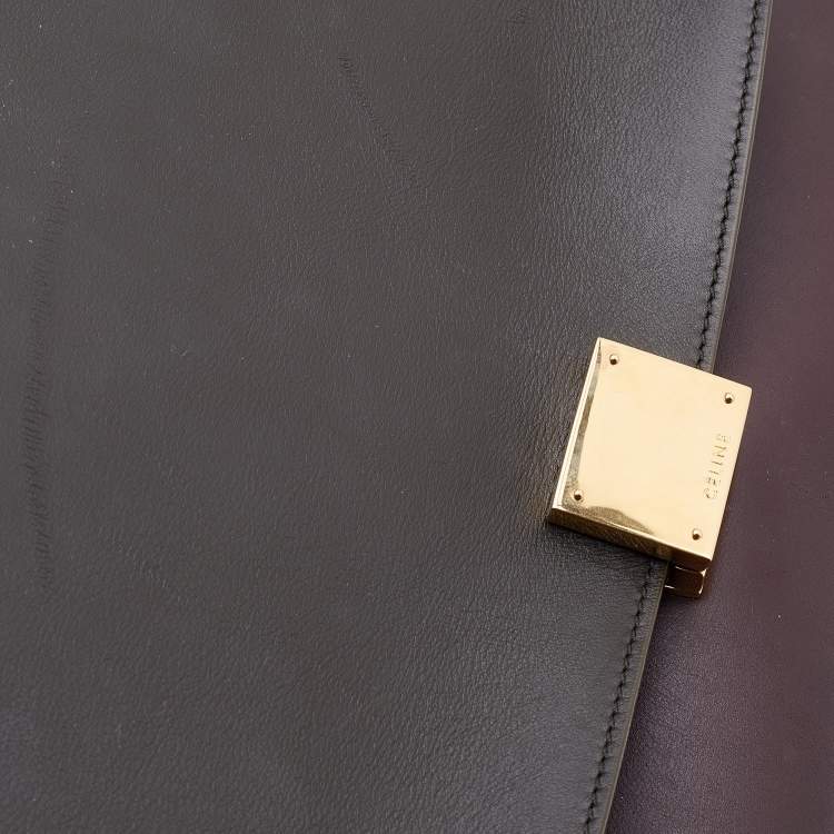 Pre Owned Celine Multicolor Leather and Suede Medium Trapeze Top Handle Bag