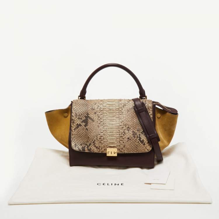 Pre Owned Celine Multicolor Python,Leather and Suede Medium Trapeze Bag