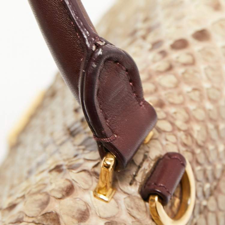 Pre Owned Celine Multicolor Python,Leather and Suede Medium Trapeze Bag