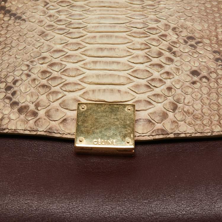 Pre Owned Celine Multicolor Python,Leather and Suede Medium Trapeze Bag
