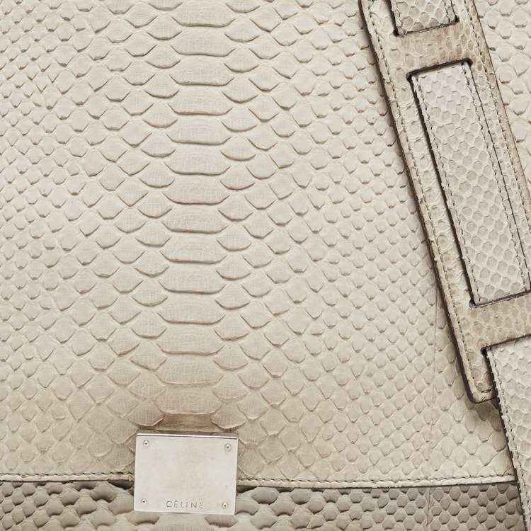 Pre Owned Celine Grey/Off-White Python and Suede Medium Trapeze Top Handle Bag