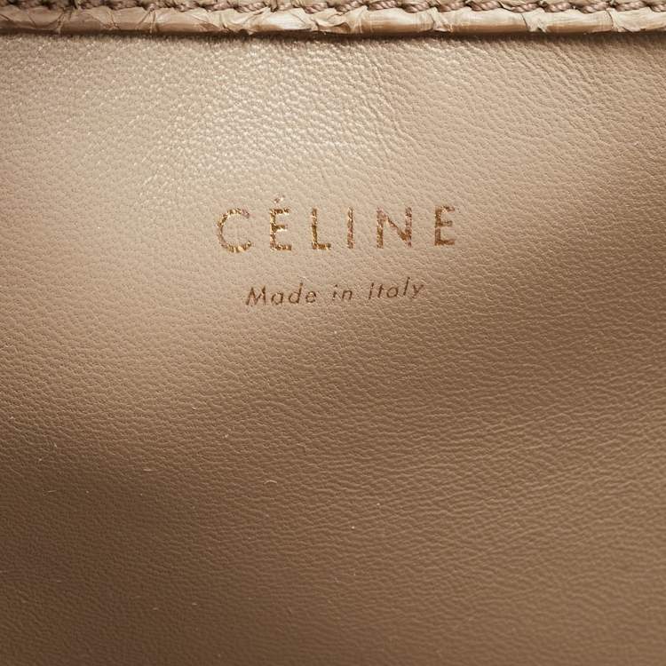 Pre Owned Celine Grey Python Medium Phantom Luggage Tote