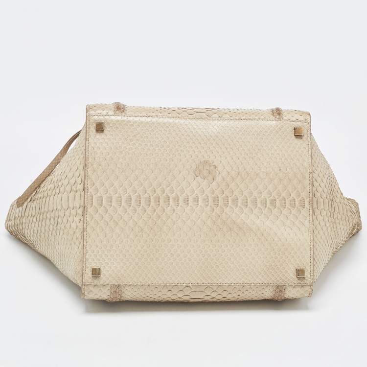 Pre Owned Celine Grey Python Medium Phantom Luggage Tote