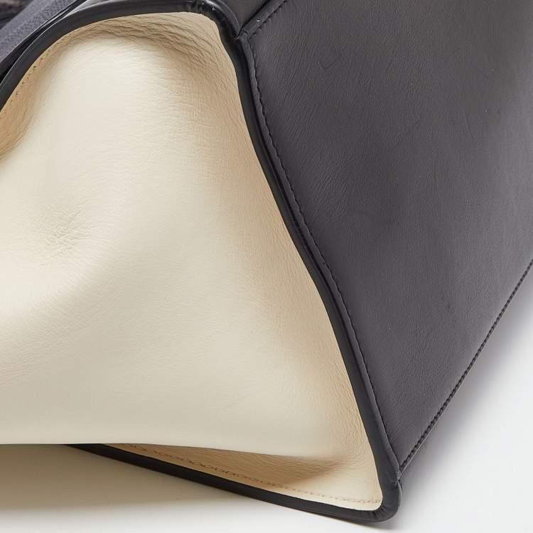 Pre Owned Celine Tri Color Leather Medium Trapeze Bag