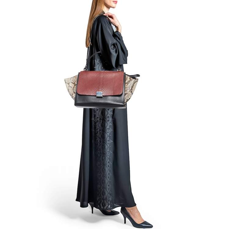 Pre Owned Celine Tricolor Python and Leather Medium Trapeze Top Handle Bag
