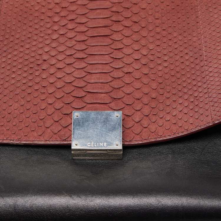 Pre Owned Celine Tricolor Python and Leather Medium Trapeze Top Handle Bag