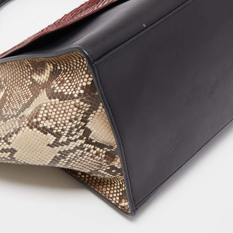 Pre Owned Celine Tricolor Python and Leather Medium Trapeze Top Handle Bag