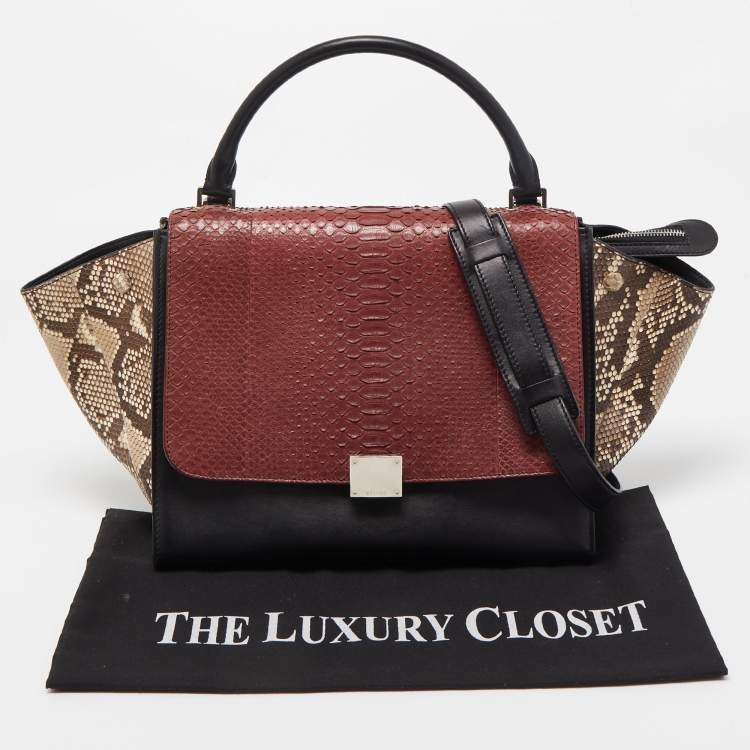 Pre Owned Celine Tricolor Python and Leather Medium Trapeze Top Handle Bag