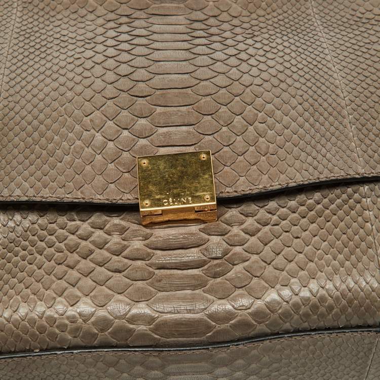 Pre Owned Celine Grey/Burgundy Python and Suede Medium Trapeze Bag