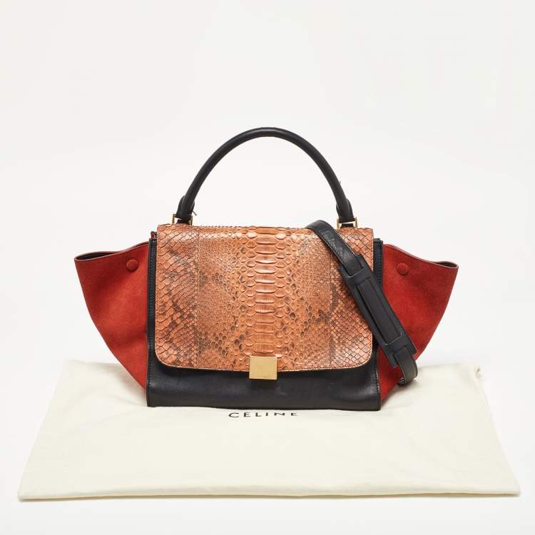 Pre Owned Celine Tri Color Leather and Python Medium Trapeze Bag