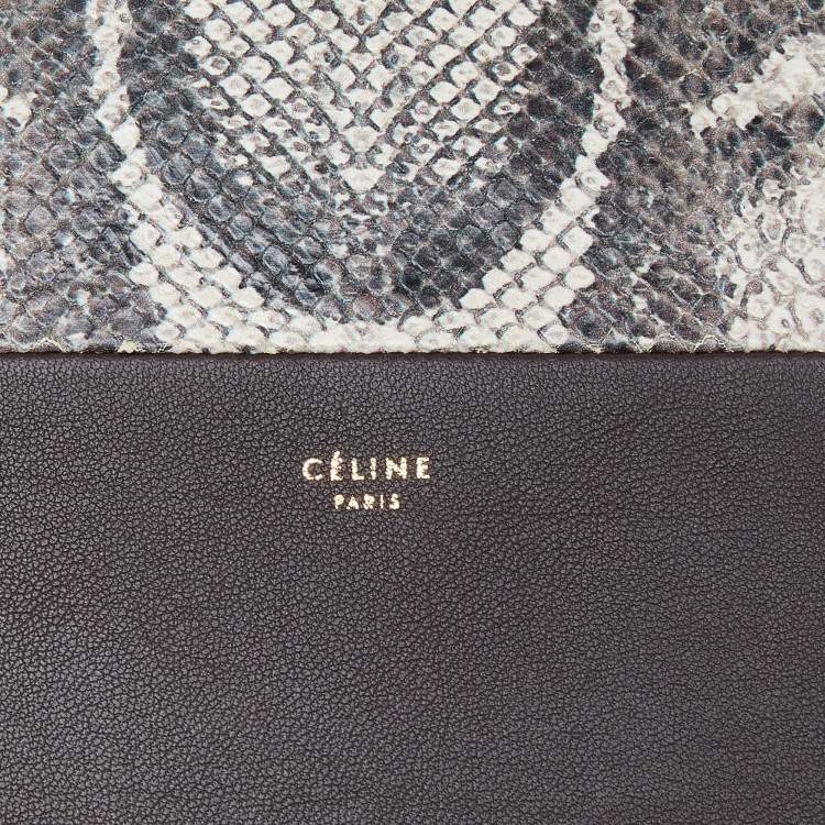 Pre Owned Celine Beige/Burgundy Snake Print Leather and Leather Solo Clutch Pouch
