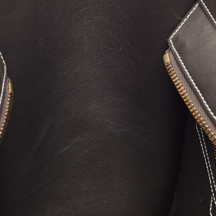 Pre Owned Celine Tricolor Leather Micro Luggage Tote