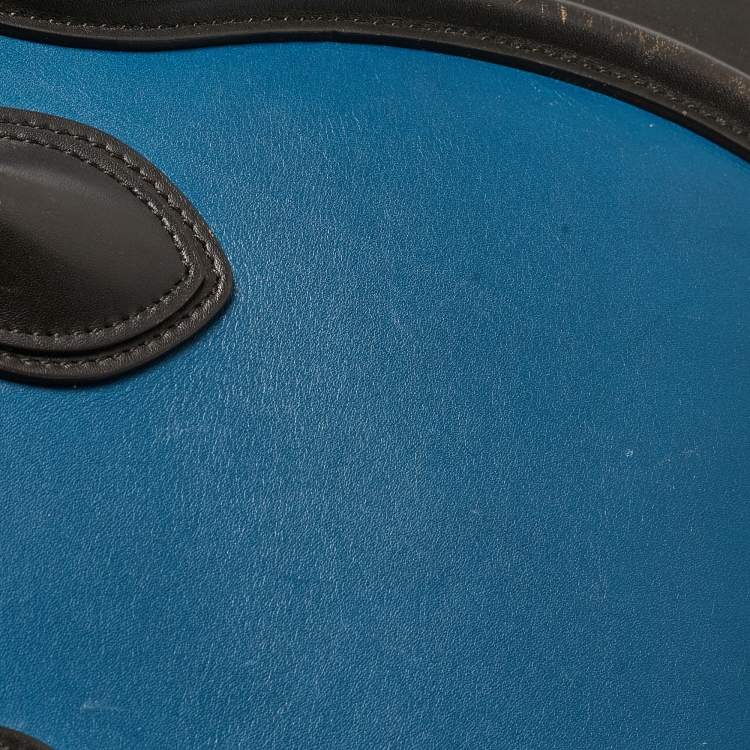 Pre Owned Celine Multicolor Leather Micro Luggage Tote