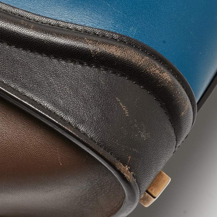 Pre Owned Celine Multicolor Leather Micro Luggage Tote