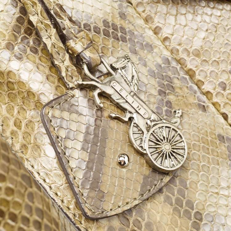 Pre Owned Celine Olive Green Python Charm Tote