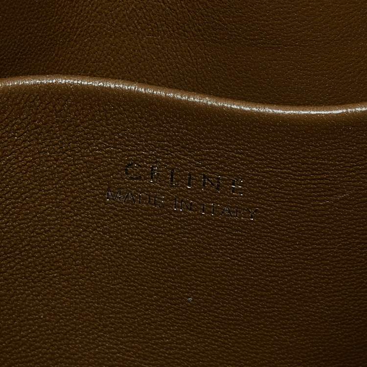 Pre Owned Celine Olive Green Python Small Trotteur Crossbody Bag