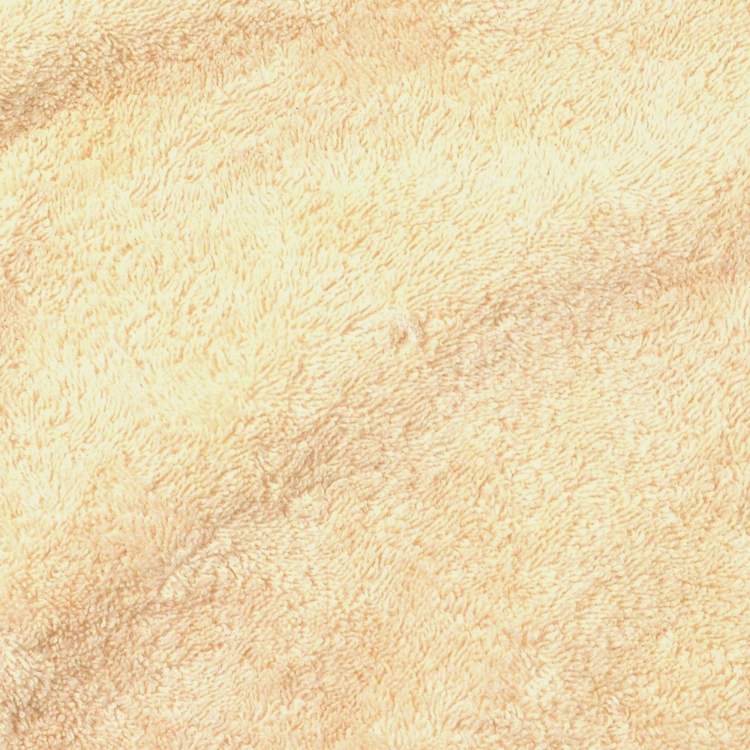 Pre Owned Chanel Round Neck Long Sleeve Top Off-white Black