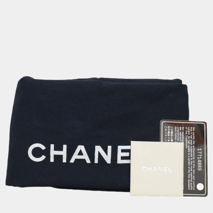 Pre Owned Chanel Brown Metallic Python Leather Taj Mahal Drawstring Bag