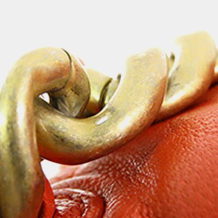 Pre Owned Chanel Orange Medium Lambskin 19 Flap