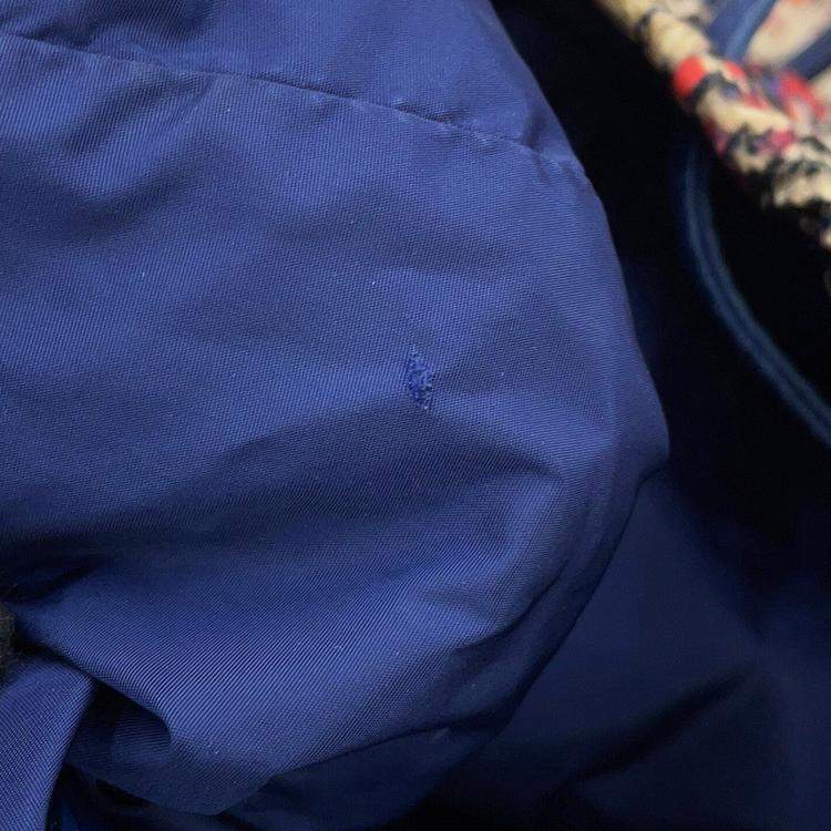 Pre Owned Chanel Cc Logo Tweed Print Backpack Blue/Multicolor Nylon Leather