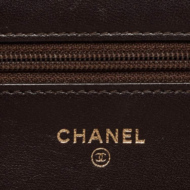 Pre Owned Chanel Metallic Brown Python and Leather WOC Bag