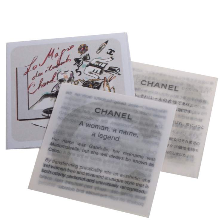 Pre Owned Chanel Metallic Ombre Leather Hollywood CC Hobo