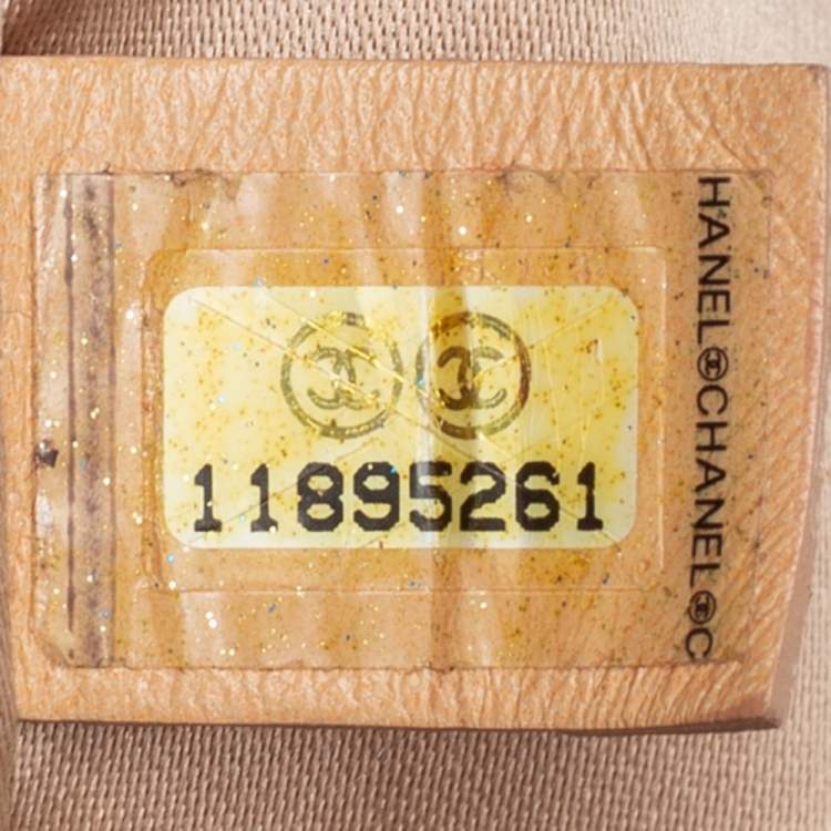 Pre Owned Chanel Metallic Ombre Leather Hollywood CC Hobo