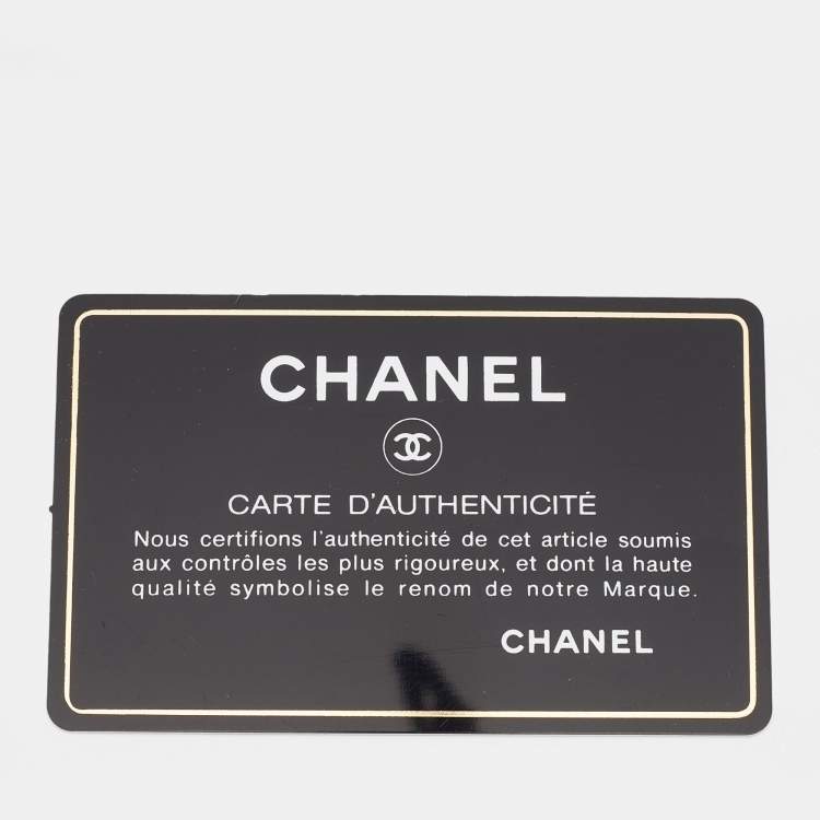 Pre Owned Chanel Multicolor Printed Canvas New York Street Spirit Backpack