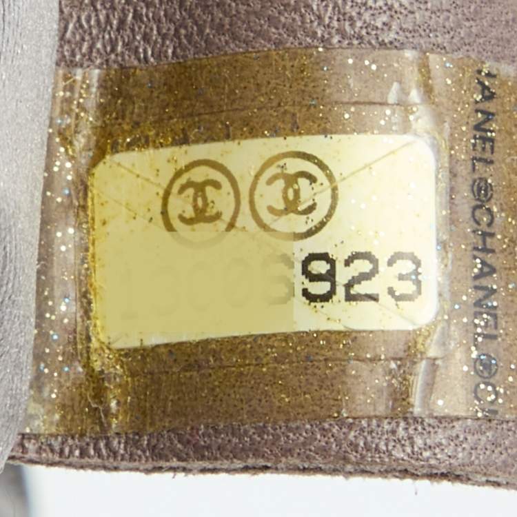 Pre Owned Chanel Metallic Grey Quilted Printed Vinyl Rock in Moscow Hobo