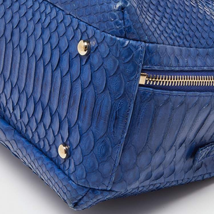 Pre Owned Chanel Blue Python Trendy CC Bowler Bag
