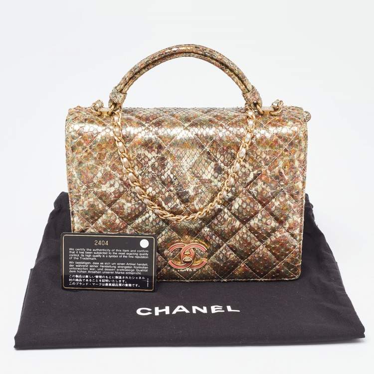 Pre Owned Chanel Metallic Multicolor Python Flap CC Logo Top Handle Bag