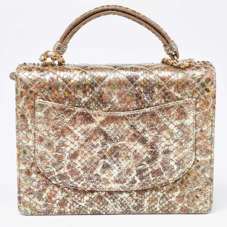 Pre Owned Chanel Metallic Multicolor Python Flap CC Logo Top Handle Bag
