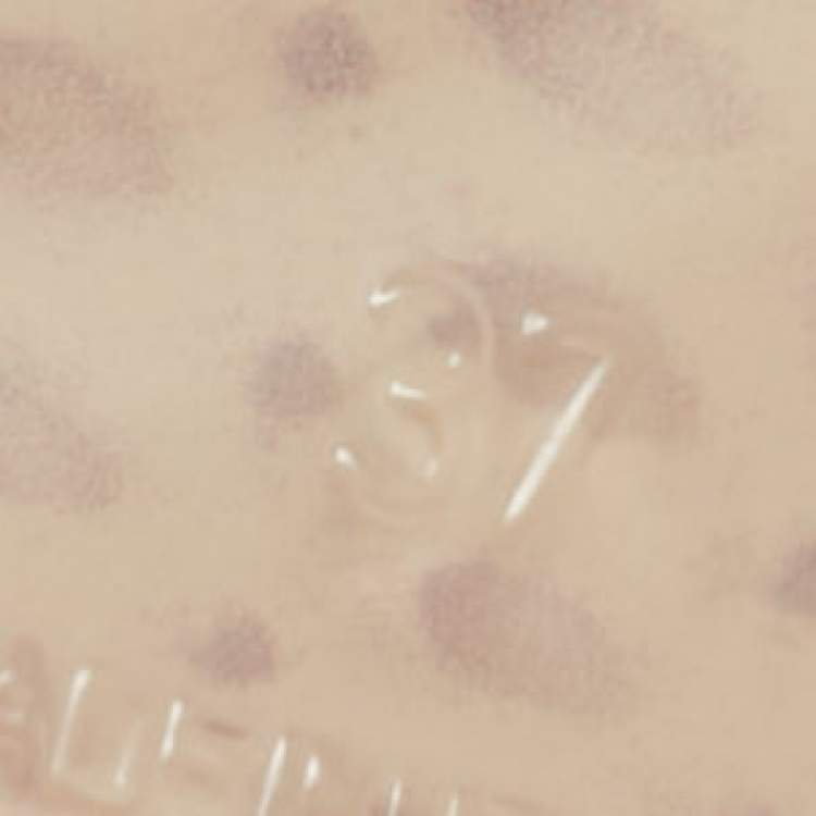 Pre Owned Chanel CC Camellia Size 37 White Jelly Thong Flat Sandals