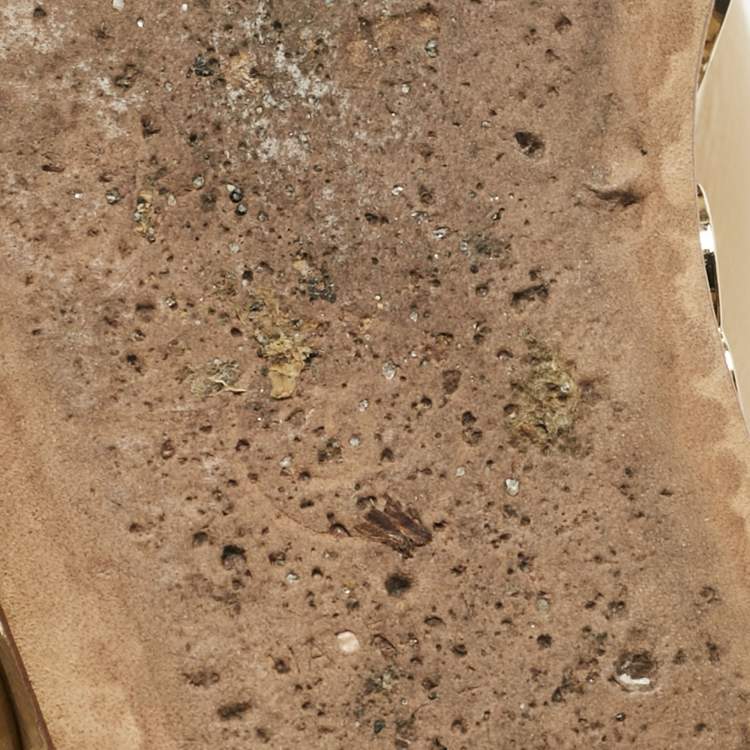 Pre Owned Chanel Beige/Black Patent and Leather Camelia Lace Oxfords Size 37