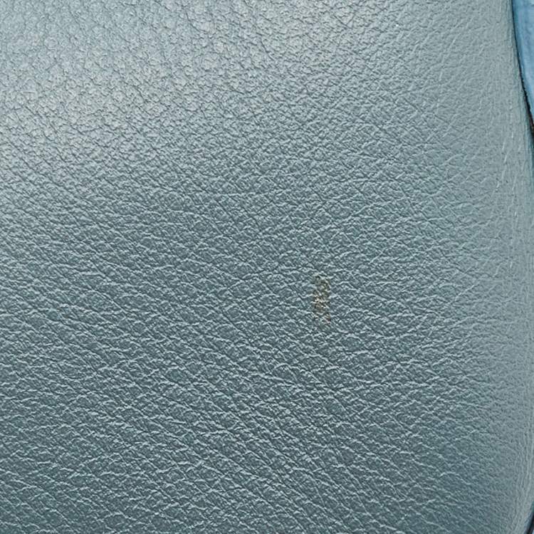 Pre Owned Chloe Blue Leather Horses Embroidered Mini Signature Bag