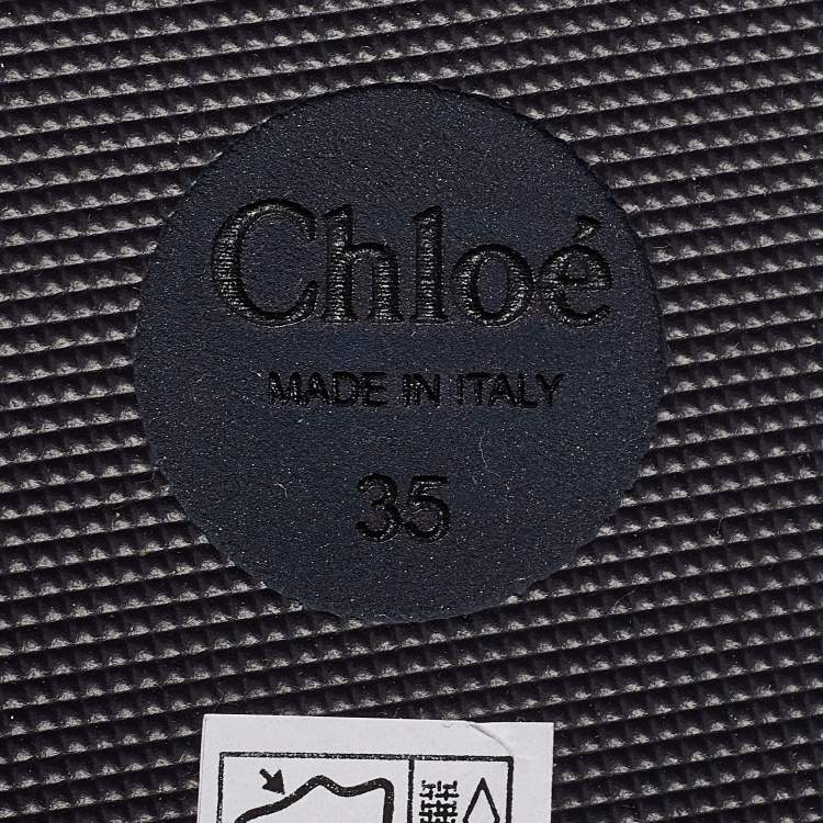 Pre Owned Chloé Multicolor Fabric and Rubber Thong Sandals Size 35