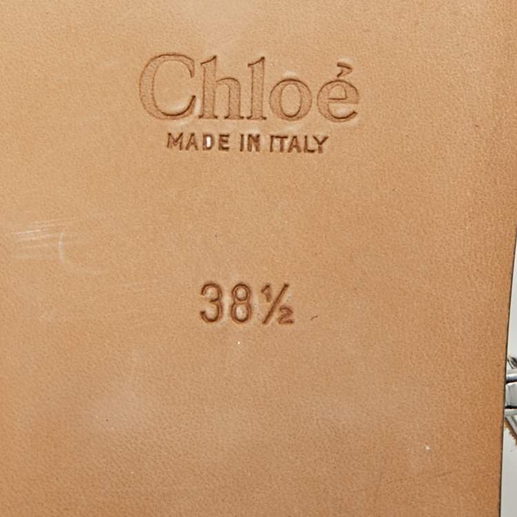 Pre Owned Chloe Multicolor Lizard Embossed and Croc Embossed Leather Ankle Strap Flats Size 38.5