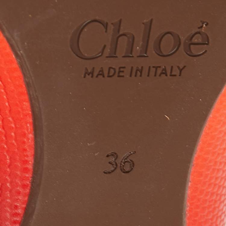 Pre Owned Chloe Multicolor Lizard Embossed Leather Thong Flat Ankle Wrap Sandals Size 36