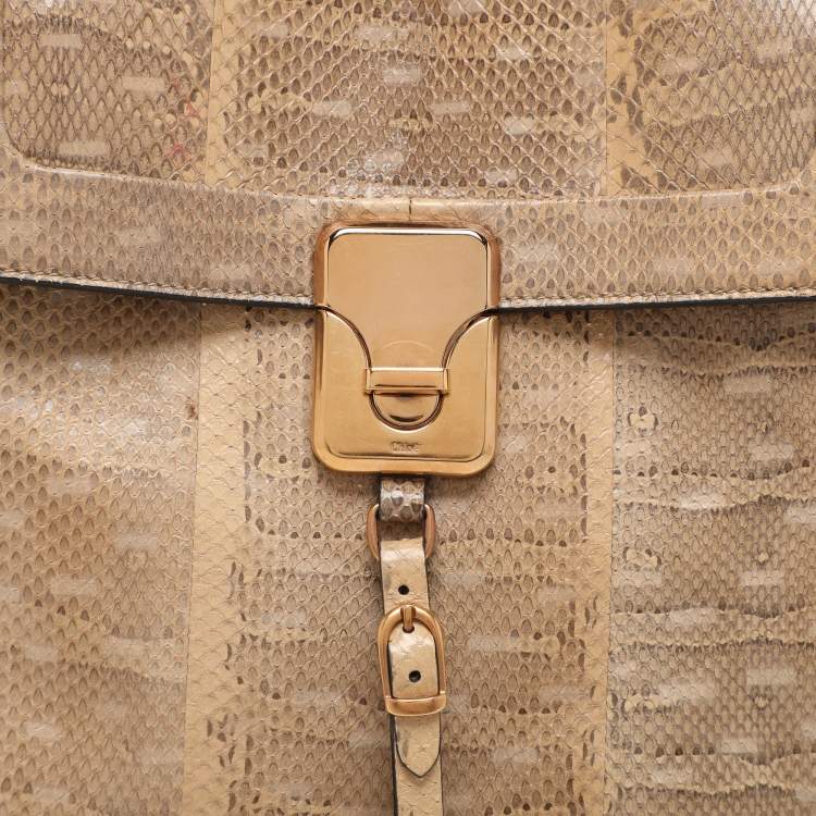 Pre Owned Chloé Beige/Brown Snakeskin and Leather Darla Top Handle Bag