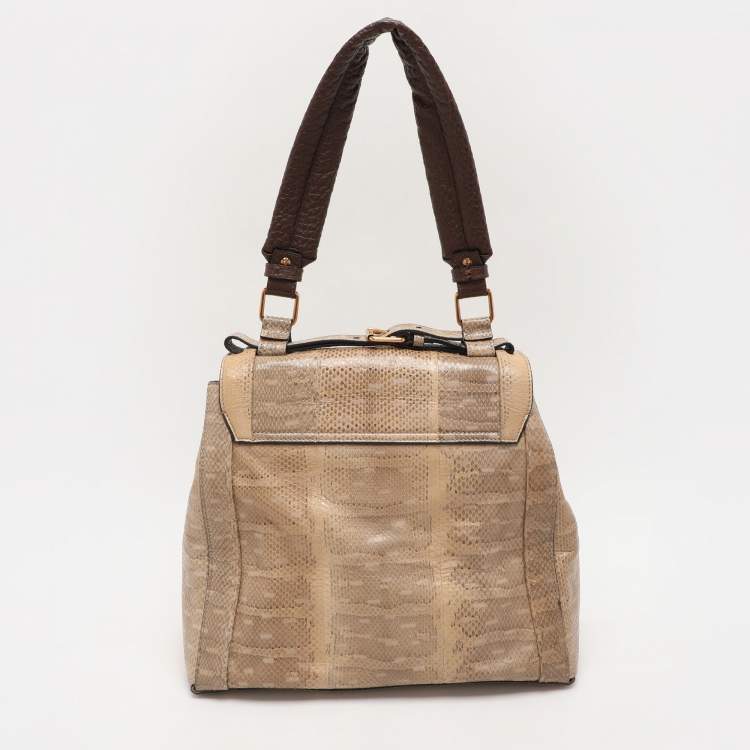 Pre Owned Chloé Beige/Brown Snakeskin and Leather Darla Top Handle Bag