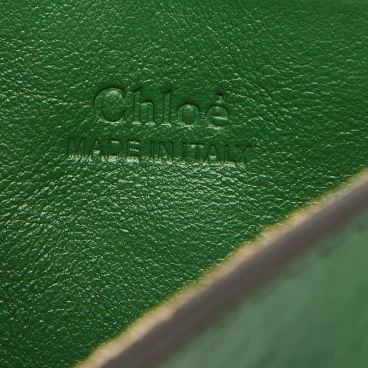مملوكة مسبقًا Chloe Green Leather and Suede Mini Faye Crossbody Bag