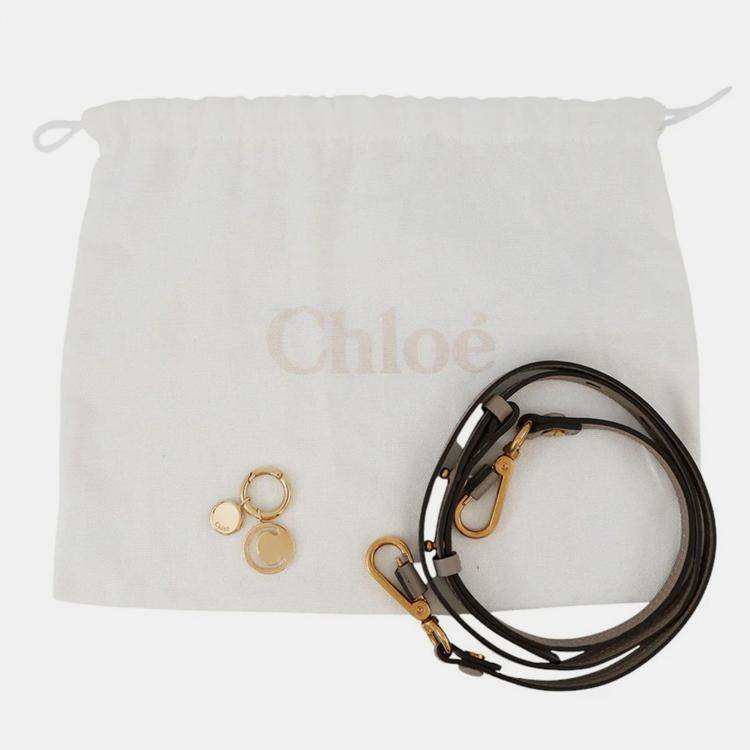 Pre Owned Chloe Nile Minaudiere 2-Way Bag Gray Leather