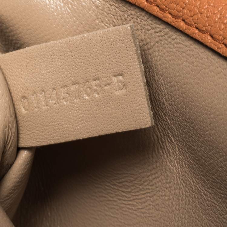 Pre Owned Chloe Coral Orange Leather Small Elsie Shoulder Bag