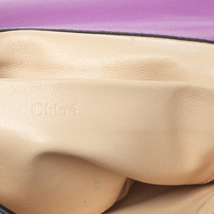 Pre Owned Chloe Fuchsia Leather Small Elsie Shoulder Bag