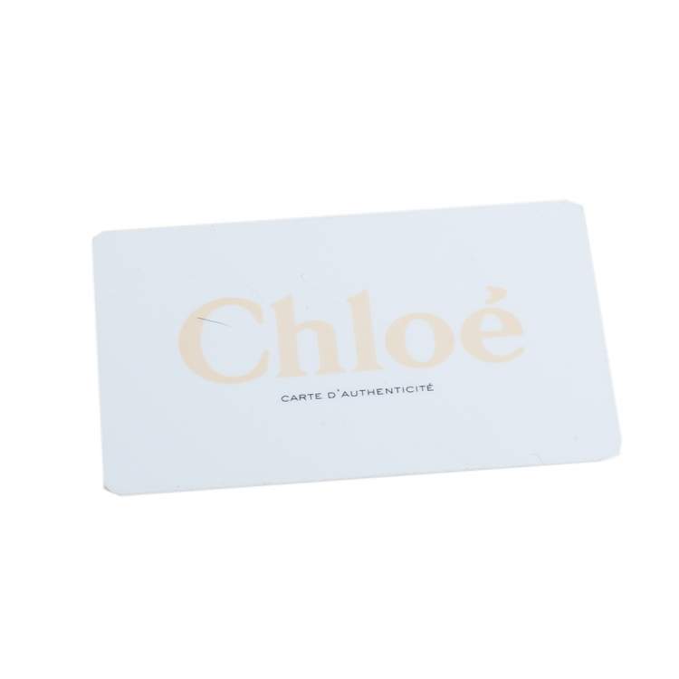 Pre Owned Chloé Fresh Blue Python Small Drew Shoulder Bag